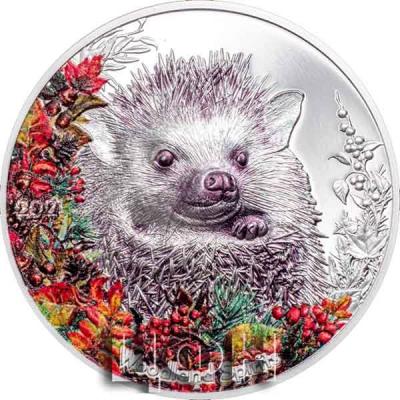 «Woodland Spirits – Hedgehog • 2021».jpg