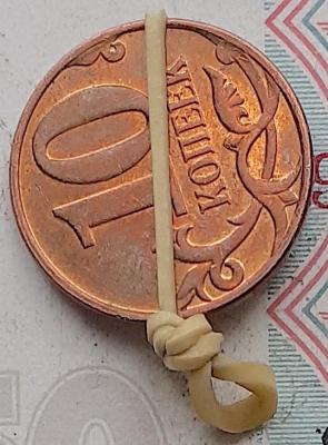 10-113.jpg