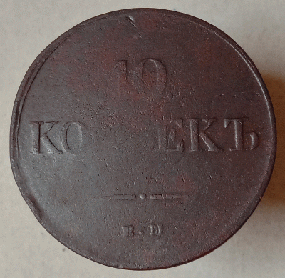 аук1.gif