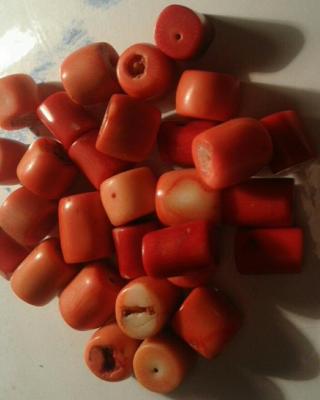 20210126_164537-1_resized.thumb.jpg.a2782fff78a8baee2de0f7b035670a94.jpg