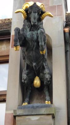 schaffhausen_(schweiz)_(18).thumb.jpg.8bdeb86a040cf486aad42650c7713595.jpg