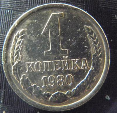 P1010004 (2).JPG