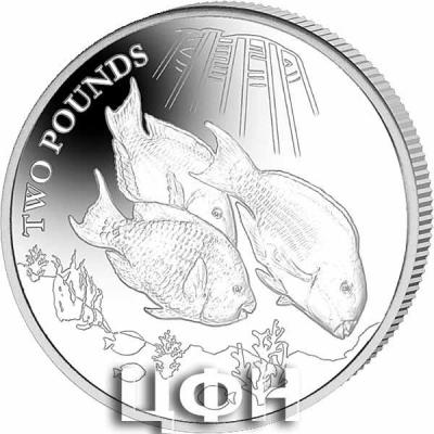 «Parrotfish - 2021 Unc. Cupro Nickel Coin - BIOT.».jpg