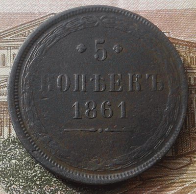 аук1.gif