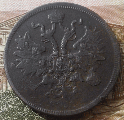 аук2.gif