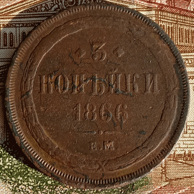 аук1.gif