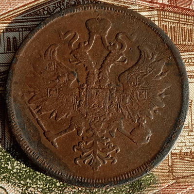 аук2.gif