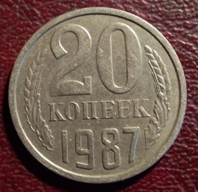 Polish_20210314_171314120.jpg