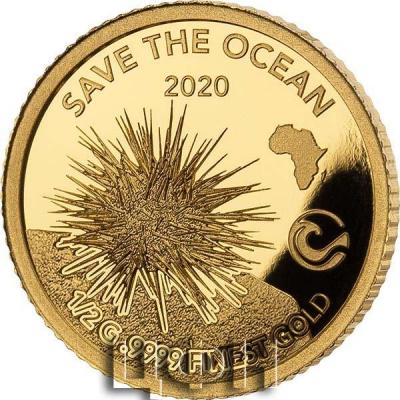 «SAVE THE OCEAN».jpg