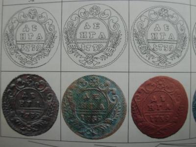CIMG4424.JPG