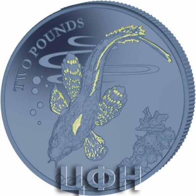 «Antarctic Barbeled Plunderfish - 2021 Blue with Glow in the Dark Titanium Coin - BAT».jpg