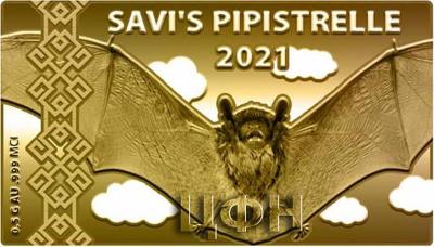 Goldmünze Schweizer Tierwelt, Alpenfledermaus «SAVI'S PIPISTRELLE».jpg