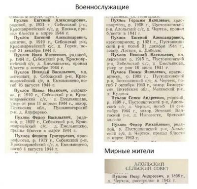 Книга Памяти Пухлов.jpg