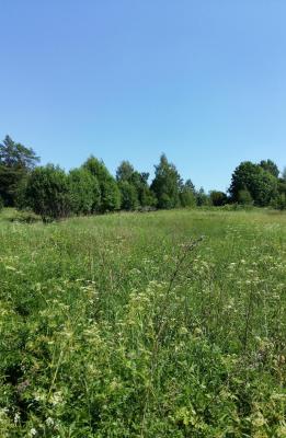 20160625_141525.jpg