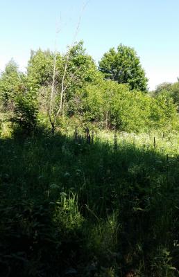 20160625_142256.jpg