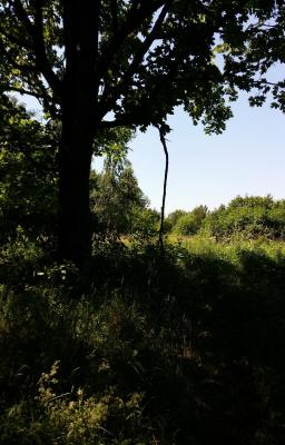 20160625_142301.jpg