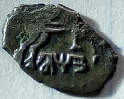 20210401_144736.jpg