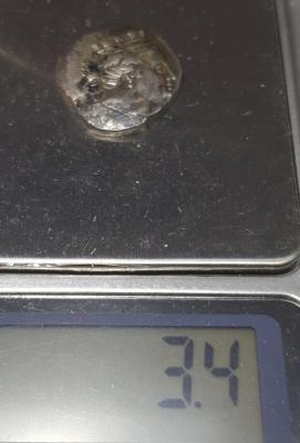 20210401_123156.jpg