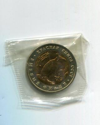 img455.jpg