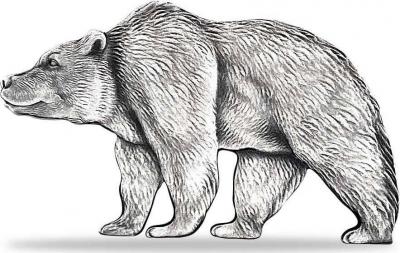 «BEAR Shaped 1 Oz Silver Coin 5000 Francs Chad 2021 Antique Finish».jpg