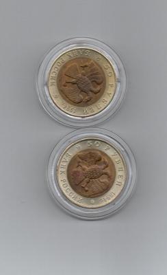 img155 (2).jpg