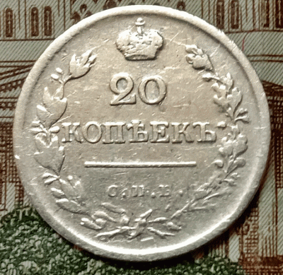 аук1.gif