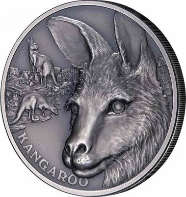 «1 Dollar KANGAROO Wildlife Up Close 1 Oz Silver Coin 1$ Niue 2021 Antique Finish».jpg