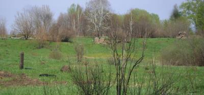 dsc09307.thumb.jpg.2b74ae3272ce73bd4d144f4180716360.jpg