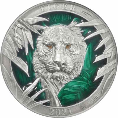 «5$ Barbados 2021 Antique Finish5 Dollars MAJESTICAL TIGER Colours of Wildlife 3 Oz Silver Coin».jpg