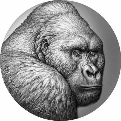 «MOUNTAIN GORILLA Expressions of Wildlife 2 Oz Silver Coin 2000 Francs Cameroon 2021».jpg