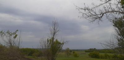 20210520_151044.thumb.jpg.59c71cfb5f4a4819f5c45e098d41211b.jpg