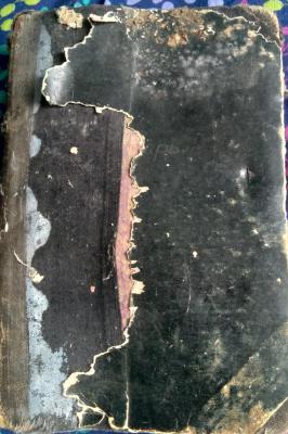20210529_102317.jpg