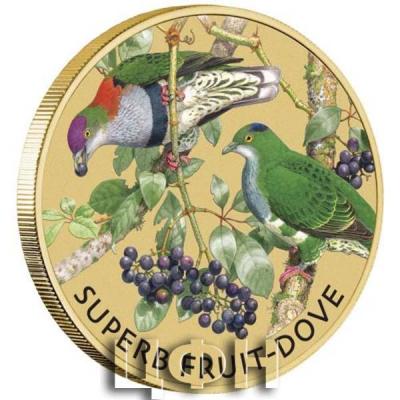 «Superb Fruit-Dove 2021 Stamp & Coin Cover ».jpg