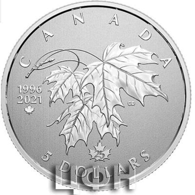 «Pure Silver Coin - Moments to Hold)».jpg