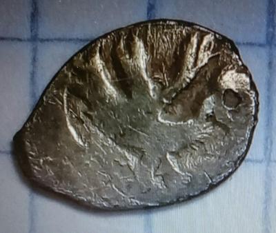 WhatsApp Image 2021-06-24 at 16.57.13.jpeg