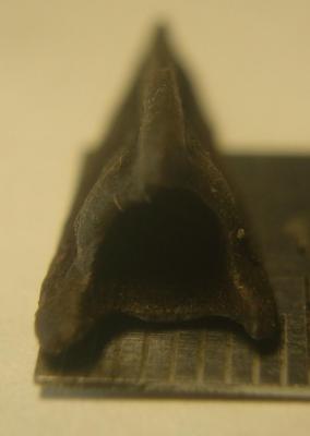 DSC09242.JPG