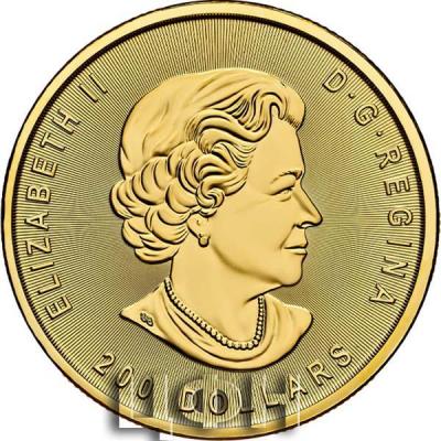 «1 oz Gold Klondike Gold Rush - Panning for Gold in Coincard 2021.».jpg