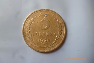 P1090333 (Medium).JPG