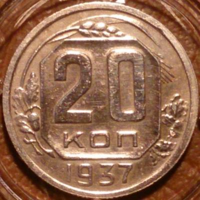 20_1937.JPG