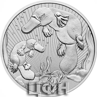 «2021 Mother and Baby Platypus».jpg