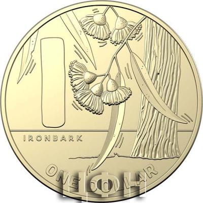 «One Dollar 2021 - IRONBARK»..jpg
