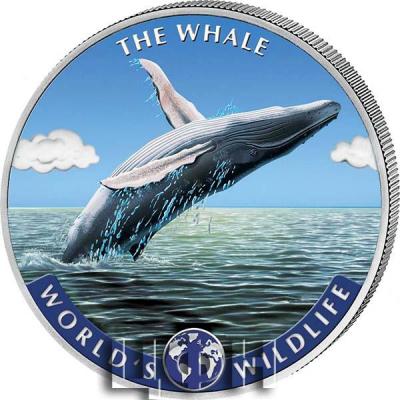 «2020 The Whale».jpg