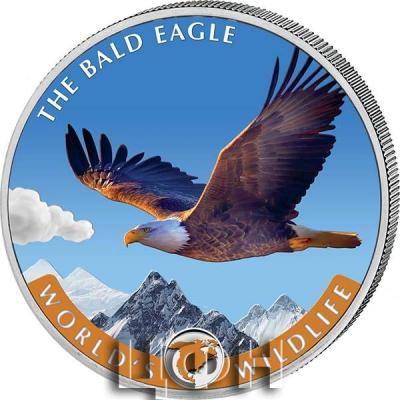 «2021 The Bald Eagle».jpg