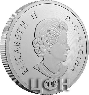 «2 oz. Pure Silver Coin - Imposing Icons Series - Bison.».jpg
