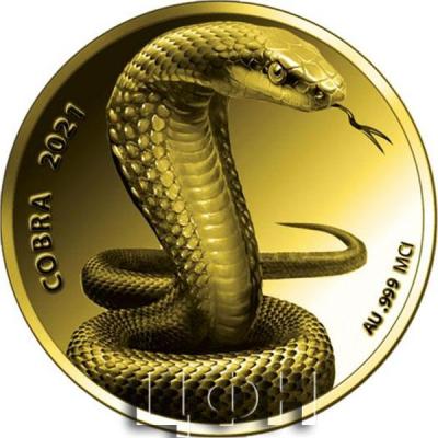 «COBRA 2021».jpg