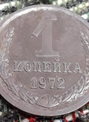 110.jpg