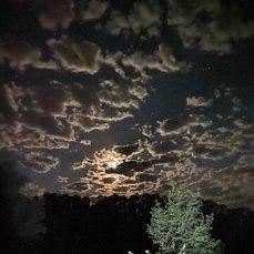 i.jpg.eaac75528f7c18a12e5544bf346f6421.jpg