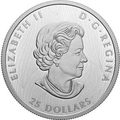 «Pure Silver EHR Coin – Bold Bison – Mintage 5,000 (2021)».jpg
