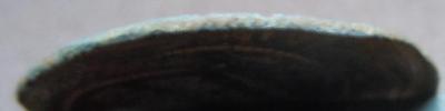 DSCN2256.JPG