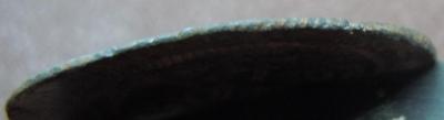 DSCN2259.JPG
